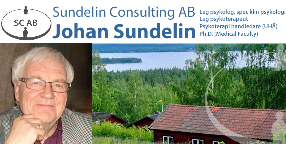 Johan Sundelin